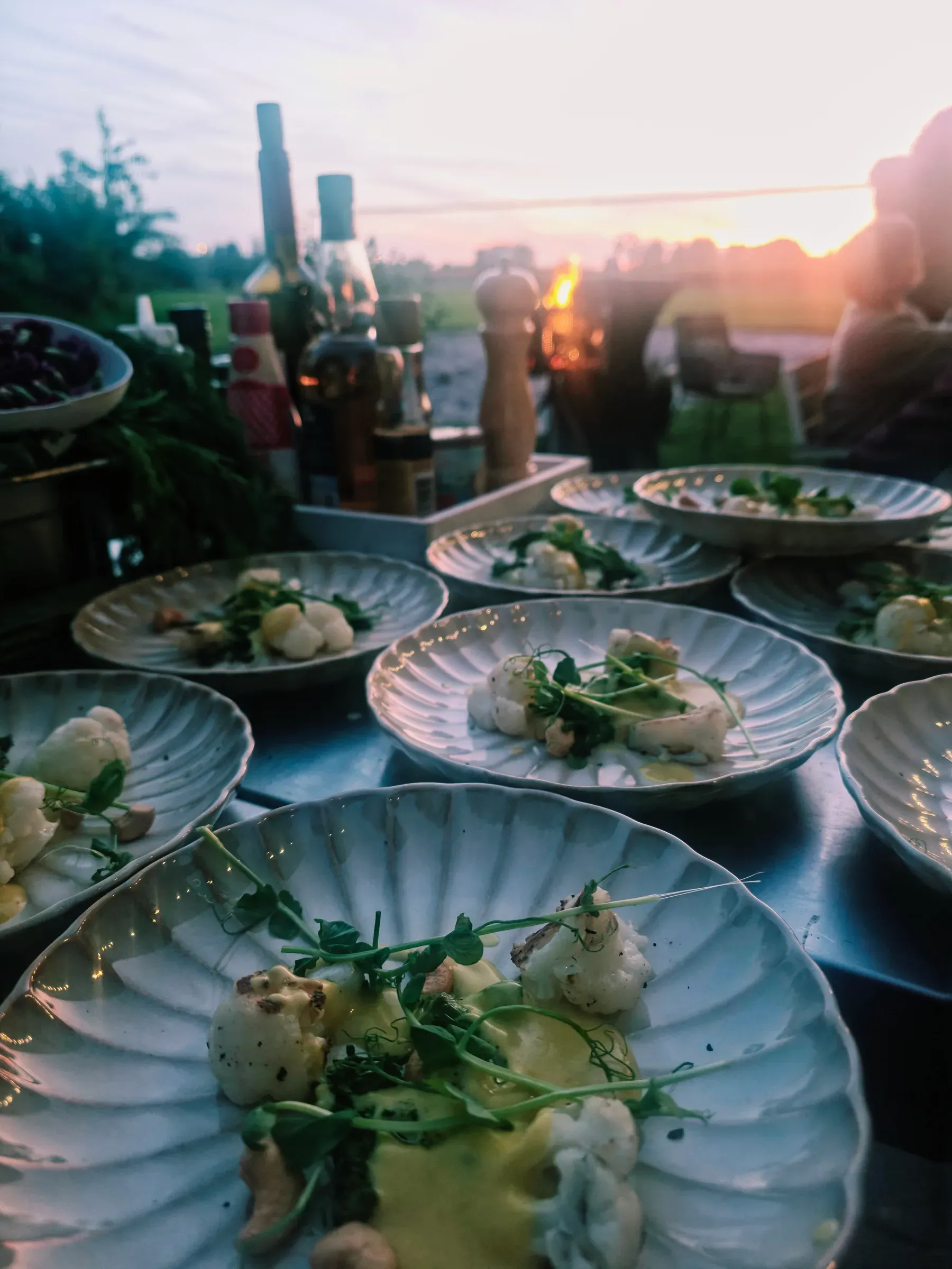 Schelpvormige borden met geroosterde bloemkool, erwtenscheuten en een romige saus, buiten opgemaakt bij zonsondergang